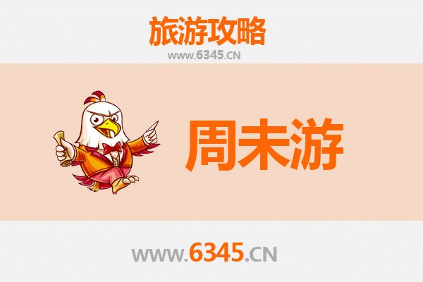 上海闵行周末游攻略：都市绿洲与人文韵味的完美邂逅