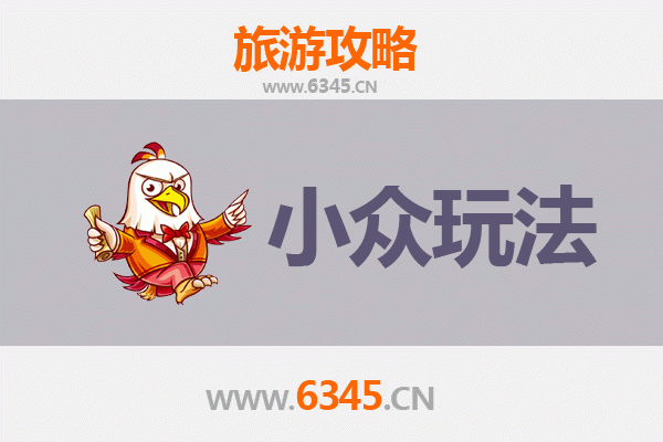 上海闵行小众玩法探秘：解锁隐藏的城市绿洲与文艺角落