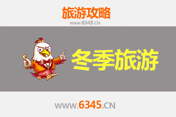 上海闵行冬季旅游攻略：暖意与风情的城市探索